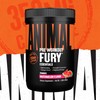Animal Animal Fury Pre Workout Powder - Energy and Focus