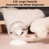 Automatic Cat Water Dispenser 2.8L Deatachable Durable Plastic Filter System