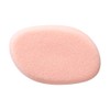Shiseido Sponge Puff (For Water Only) 112