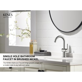 KENES Brushed Nickel Bathroom Faucet Single Handle Modern Prep Wet Bar Sink Faucet Kitchen Faucet with Drain Assembly & Deck Plate, Farmhouse RV Camper Outdoor Utility Faucet, KE-9005B