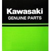 Kawasaki Maintenance W650 W800 ELEMENT-AIR FILTER Left & Right Set