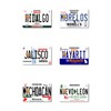 Card Skin - Mexico Placas (Mexican License Plate) Card Stickers
