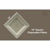 FPN Disposable Sugarcane Square Plates, Compostable Eco-Friendly Dinnerware, Biodegradable Party
