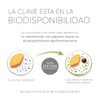 DIANA BÁRCENA HEALTH - Cúrcuma 500mg con Pimienta Piperina (Alta