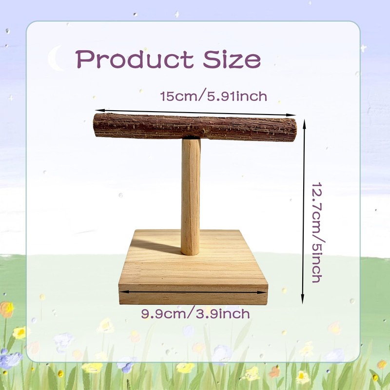 Bird Perch Stand Portable Training Parrot Playstand Parrot Cage Toy