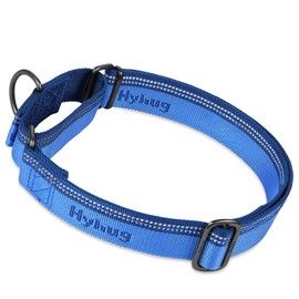 Hyhug Pets Reflective Martingale Dog Collar with Nice Jacquard Weave Nylon for Giant Large Dogs Daily Walking and Training. (Large, Classic Blue)