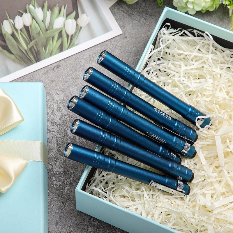 Rossesay 24 Pack Mini Pen Flashlights Bulk LED Pen Lights