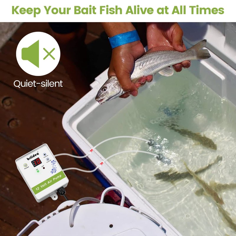 Aerator for Bait Bucket, Briidea 12 Volt Livewell Aerator Pump