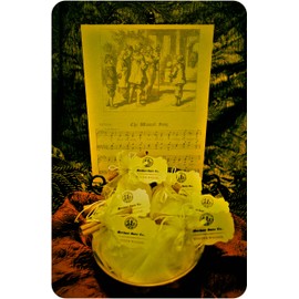 Winter Wassail Mulling Spices from the Gift Set Collection by Merchant Spice Co. (2 mulling spice bags)