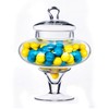 CYS EXCEL 10" Glass Apothecary Jars (Pack of 2) |