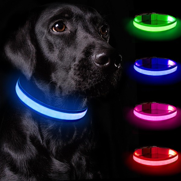 Nepfaivy Light Collar Dog USB Rechargeable - Dog Collar Luminous