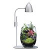 Gentos (Silver) Light (W x D x H): 7.1 x