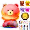 Paint Your Own Bear Lamp Kit, Art Supplies & Crafts