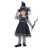 Toddler Crafty Little Witch Costume 3T/4T