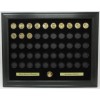 GOLDEN SACAGAWEA DOLLAR COINS (NOT INCLUDED) WALL DISPLAY PICTURE FRAME