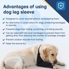 BARKLESS Dog Recovery Suit for Front Leg After Surgery, Breathable