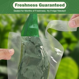 60 Pcs Fresh Vacuum Banana Leaves for Cooking, Bamboo Leaves for Zongzi Leaf Sushi Bamboo Leaf Plating Party Decoration (2 Pack-30Pcs)