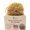 Skin Unique Mediterranean Natural Sea Sponge in Gift Box -