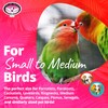 Super Bird Creations SB719 Beaker Sneaker Bird Toy for Parrotlets,