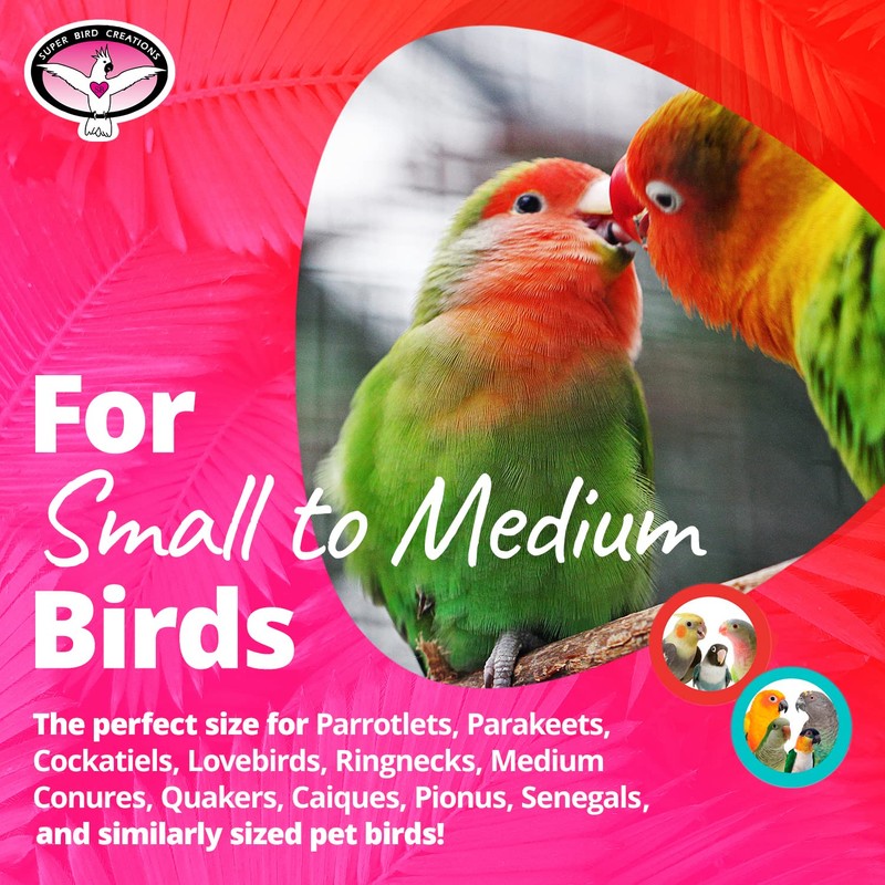 Super Bird Creations SB719 Beaker Sneaker Bird Toy for Parrotlets,