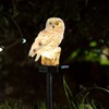 Peacock Solar Garden Light for Outdoor Decor – IP65 LED