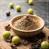 Amla Organic Powder 100 g – Phyllanthus Emblica – Indian