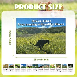 CHIHOLEN Calendar 2026 Dogs in Beautiful Places Funny Wall Calendar 2026 Funny Humour Gag Gifts for Birthdays Christmas
