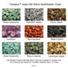 Fantasia Materials: 3 lbs (Best Value) of Exclusive Premium Asia