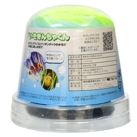 Kamihata Iso Gincha-kun, Yellow, Medium Size