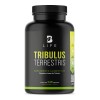 Tribulus Terrestris Precursor D Testosterona 240 Cáps. B Life