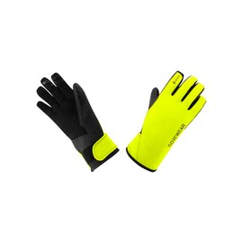 Gorewear Gore-Tex Insulated Gloves