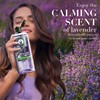 Herbal Essences Shampoo Calm Frizz Lavender Haircare 600ml