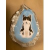 Unbranded Black White Tuxedo Kitty Cat Decorative Oyster Shell Jewelry