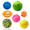 CIAN Assorted Dog Balls Interactive Pet Toys Multi Pack (Small