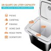 Segawe Low Noise Car Iceless Thermoelectric Cooler Electric Refrigerator Mini