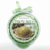 NEW Tovolo Petite Pie Mold w/Case & Recipes Green Apple