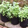 FiveSeasonStuff 1 Gallon Grow Bags Upgraded Heavy Duty Handles, 5