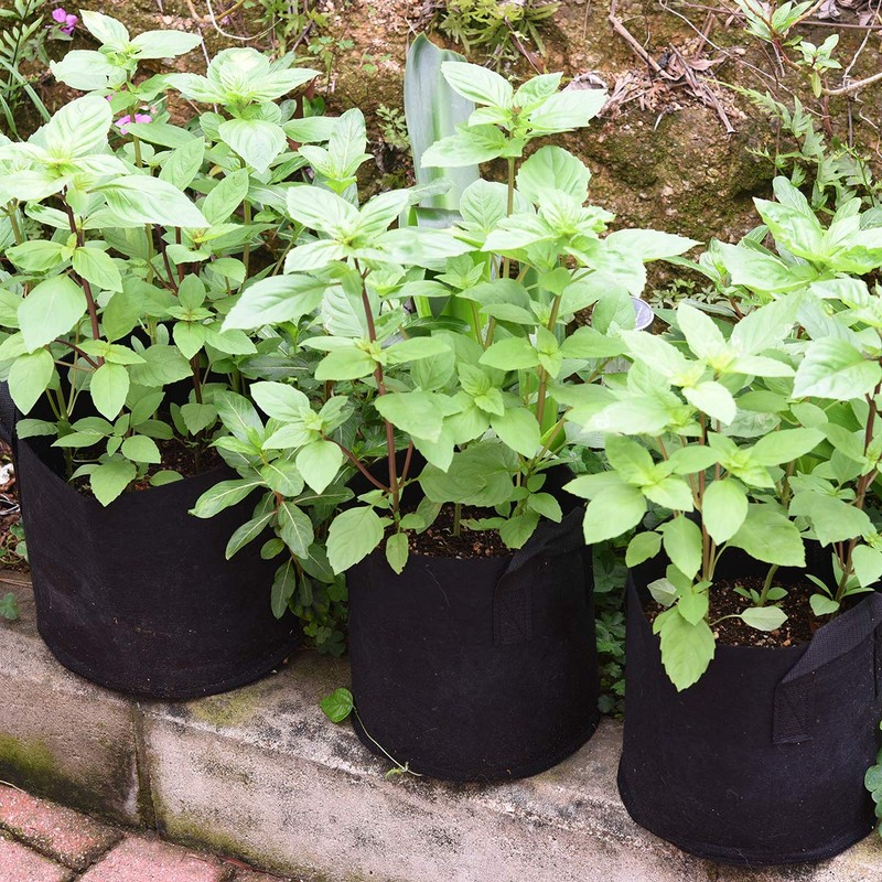 FiveSeasonStuff 1 Gallon Grow Bags Upgraded Heavy Duty Handles, 5