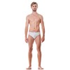 Speedo Men's Swimming Trunks Essential Logo Brief