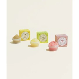 SKINFOOD Choose 1 Lip Food Mask 3 Types Lip Balm Scrub Sleeping Pack 4119619 (Lip Sleeping Pack) Honey Sugar (21ml) / SKINFOOD 택1 립 푸드마스크 3종 립밤스크럽슬리핑팩 4119619 (립슬리핑팩) 허니슈가(21ml)