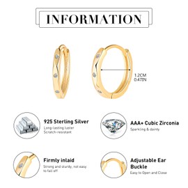 MICYUMI Men's Women's S925 Sterling Silver Earrings 12mm Diameter Hoop Earrings Cubic Zirconia Round Earrings