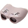 ケンコー(Kenko) 双眼鏡 ディズニー ピントあわせのいらない8倍双眼鏡 8×22 ミッキー&ミニー DK-0822FF MM&MN 8倍 22口径