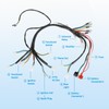 EOPOAYI Electric Wiring Harness Kit Compatible with Taotao Coolster 110cc
