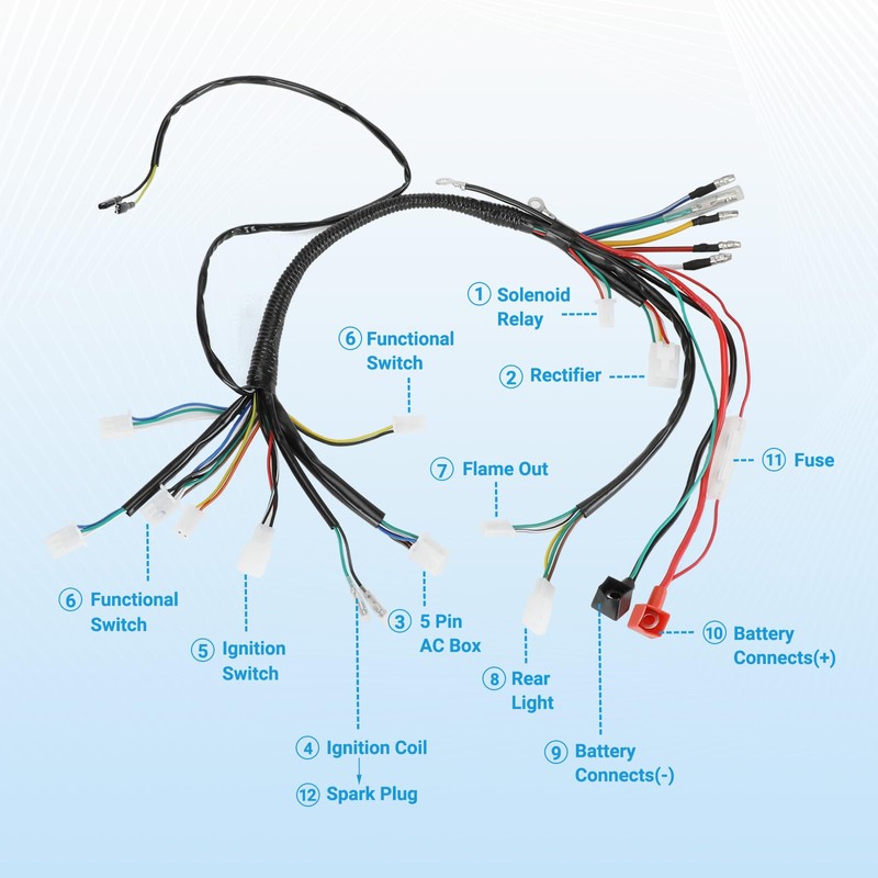 EOPOAYI Electric Wiring Harness Kit Compatible with Taotao Coolster 110cc