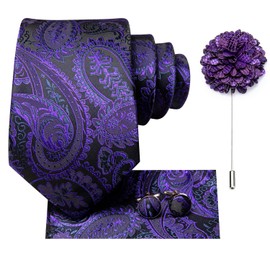 Hi-Tie Ties for Men Pocket Square Cufflinks Lapel Pin Mens Tie set Formal Wedding Business,Black Purple Paisley