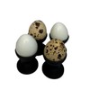 Undique Mini Egg Cup Set, Quail Egg Holders, Set of