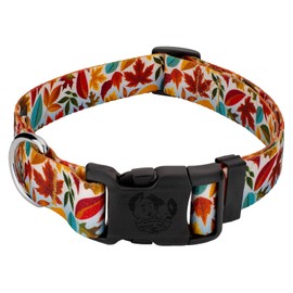 Country Brook Petz - Deluxe Brisk Autumn Dog Collar - Made in The U.S.A. - Awesome Autumn Collection with 7 Design You Will Fall for (1 Inch, Medium)