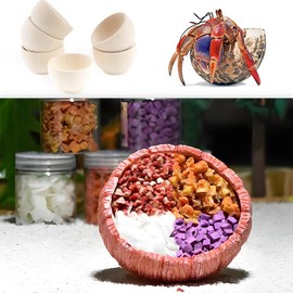 6 Pcs Hermit Crab Food Bowl Small Wooden Feeding Dish for Hermit Crab Snail Millipede Insect