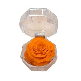 Genérico Eternal rose color orange in jewellery box original gift preserved rose orange natural preserved rose elegant decoration in love birthday anniversary mother's day