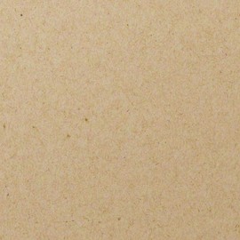 Limited Papers (TM). Desert Storm Color, Text And Cover Paper, Smooth Finish, 100% Recycled. Variety of Sizes, Weights, Sheets And Envelopes. (12 x 18-100 Pound cover)